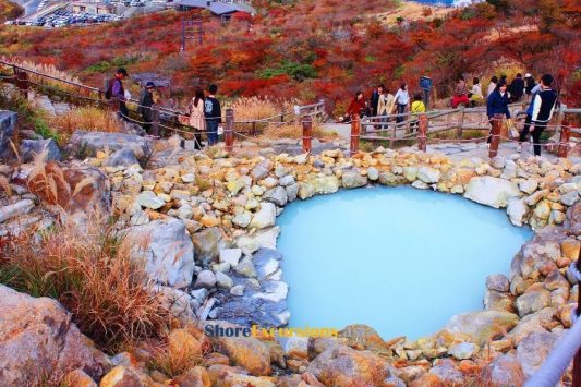 Mount Fuji & Hakone Sightseeing Tour