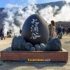 Mount Fuji & Hakone Sightseeing Tour
