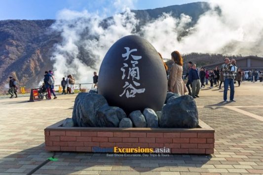 Mount Fuji & Hakone Sightseeing Tour
