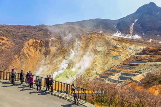 Mount Fuji & Hakone Sightseeing Tour