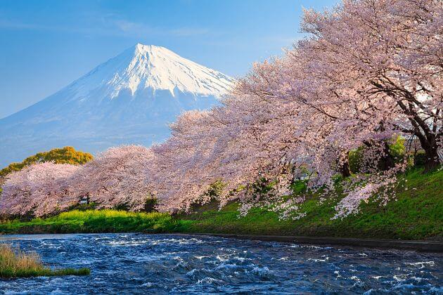 Mount Fuji from Shimizu Tour