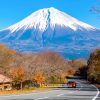 Mt. Fuji’s 5th Station shore excursions