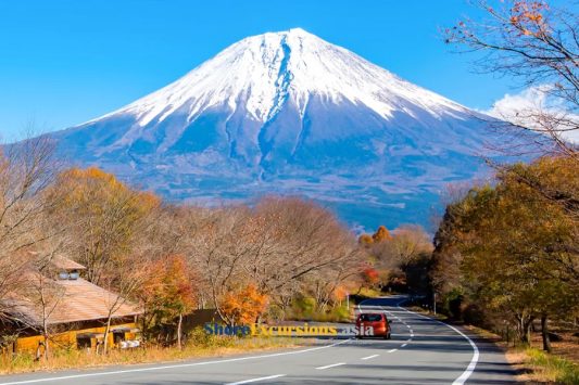 Mt. Fuji’s 5th Station shore excursions
