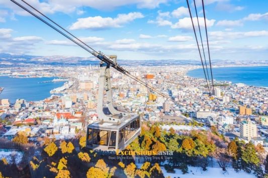 Mt. Hakodate ropeway shore tours