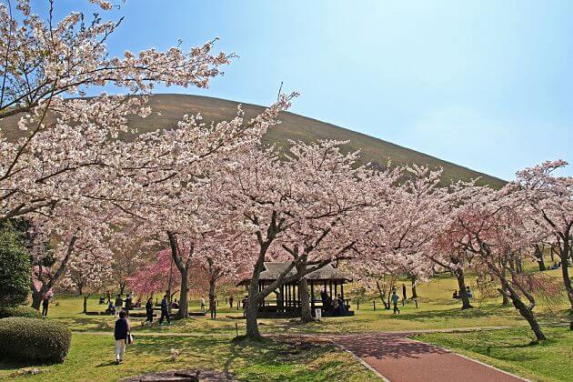 Nagasaki shore excursions Sakura no Sato attractions