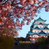 Nagoya Castle on shore tours