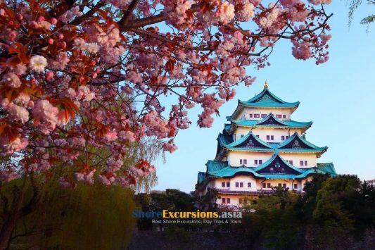 Nagoya Castle on shore tours
