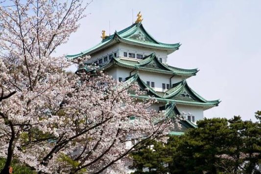 Nagoya Castle shore excursions