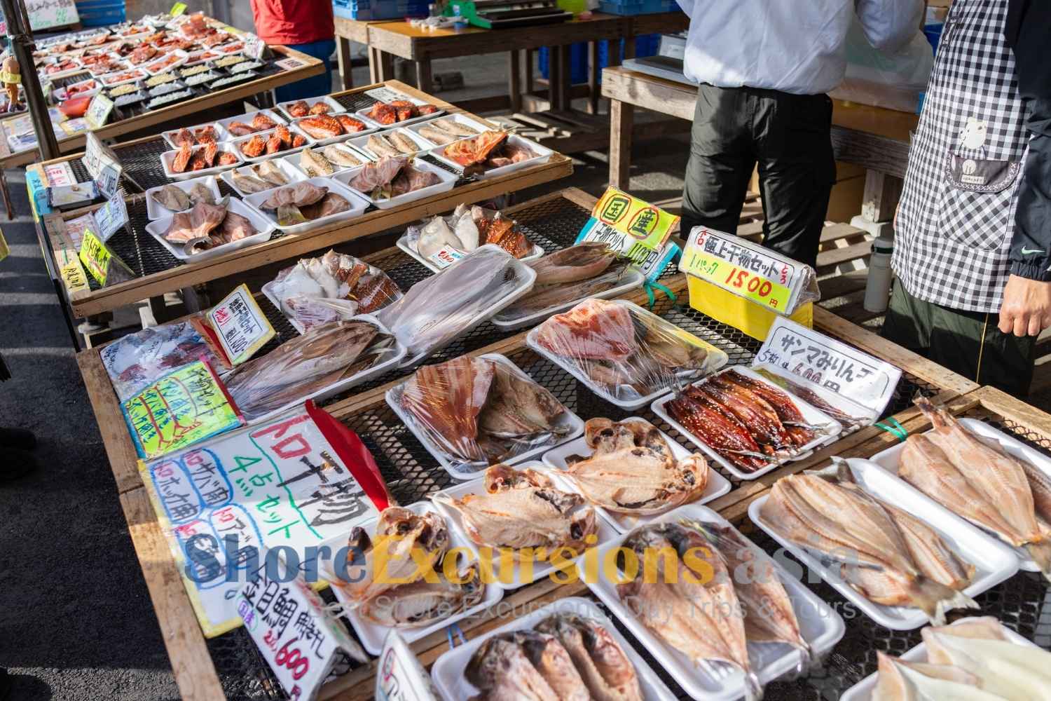 Nakaminato Fish Market on Hitachinaka port tours