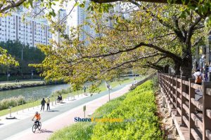 Namcheon-dong Street - Busan Scenic Tour