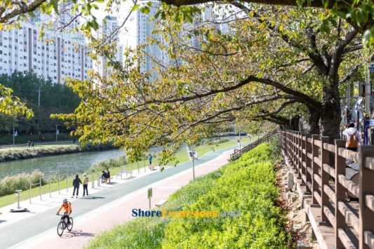 Namcheon-dong Street - Busan Scenic Tour