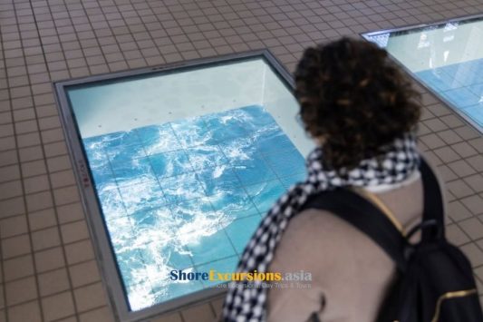 Naruto Whirlpools on Tokushima shore excursions