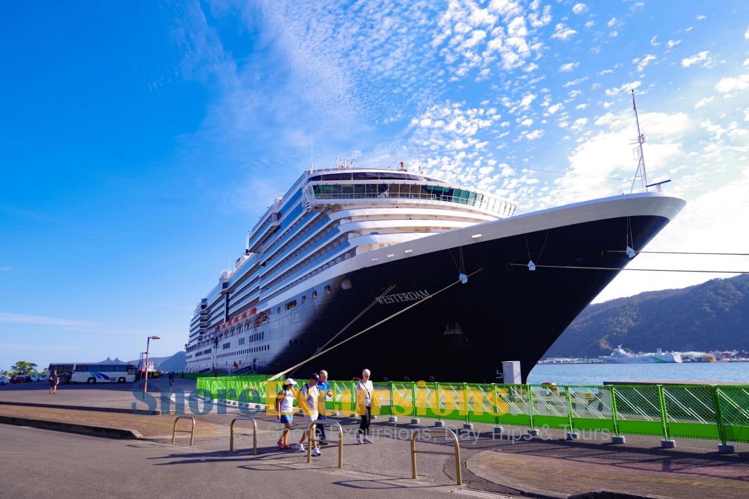 Naze Port - Where cruise ships dock for Oshima shore excursions