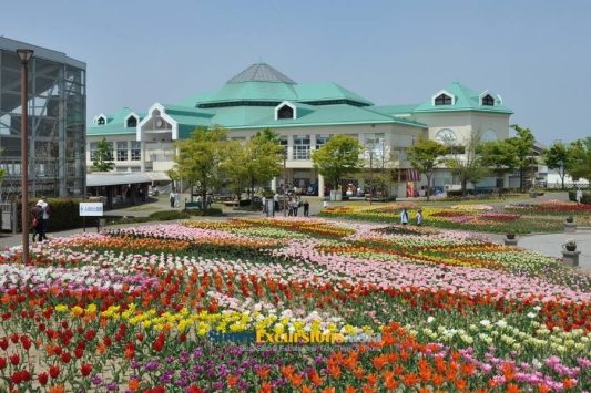 Niigata Furusato Village tours from port