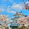 Niigata history shore excursions