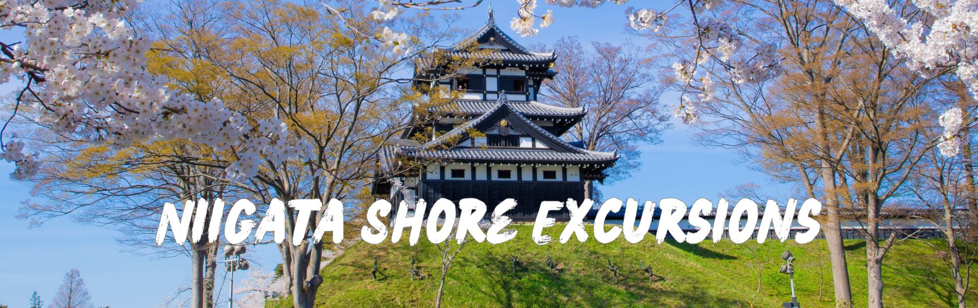 Niigata shore excursions banner