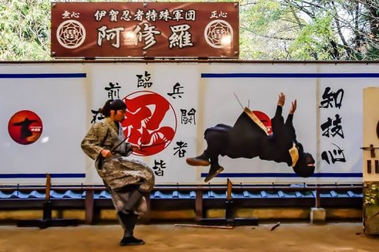 Niigata to Iga Ninjja Meeting