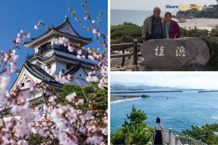 Norwegian Spirit shore excursions from Kochi port