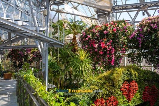 Nunobiki Herb Garden on Kobe Highlights Tour