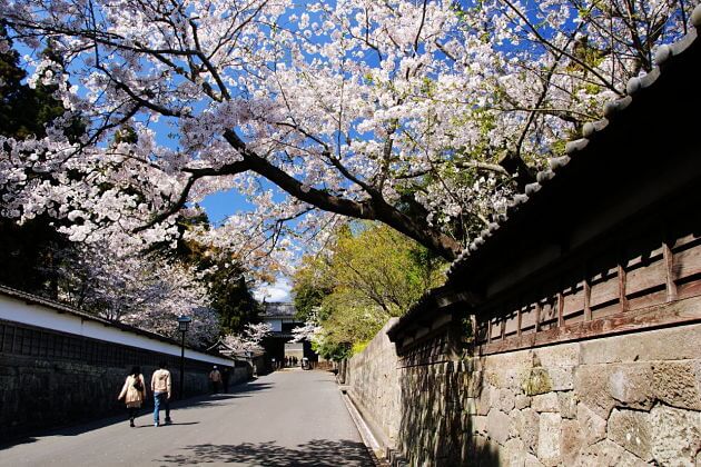 Mysterious Land of Miyazaki - Japan Shore Excursions