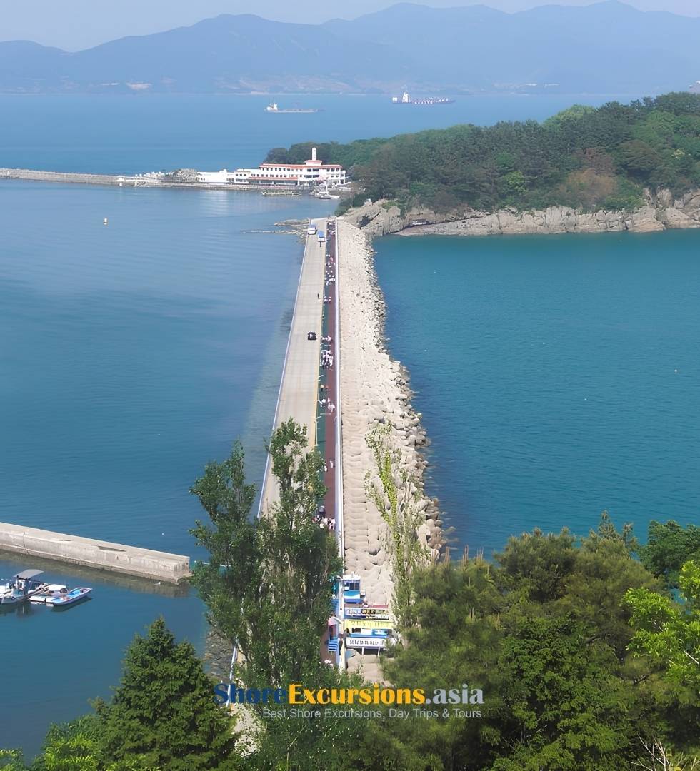 Odongdo Island on Yeosu Shore Excursions