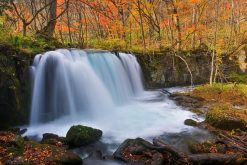 Oirase Stream Lake Towada tour