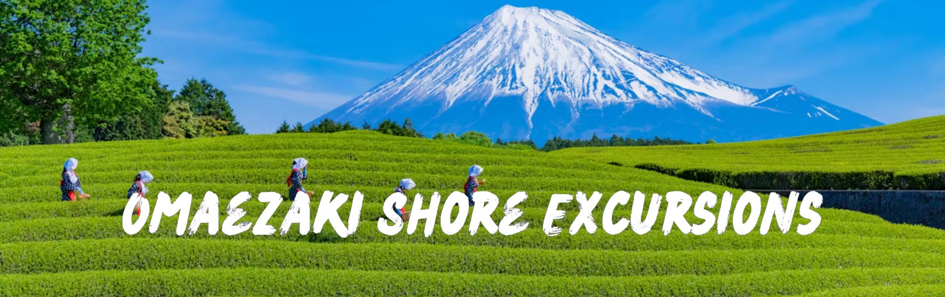 Omaezaki shore excursions banner