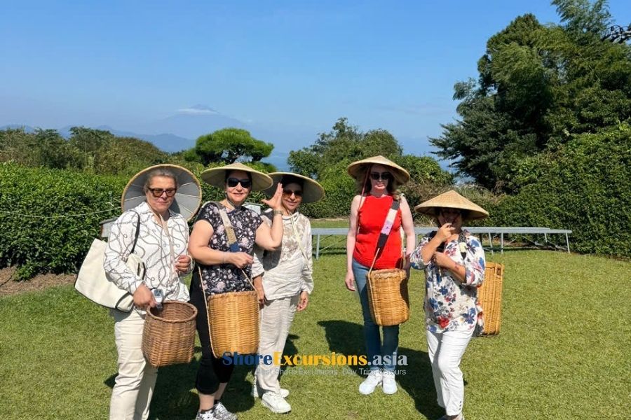 Omaezaki shore excursions