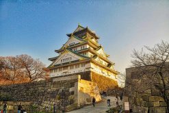 Osaka Castle Osaka Tour from Cruise Port