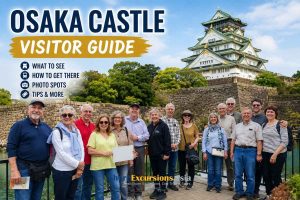 Osaka Castle Visitor Guide - Japan Shore Excursions