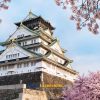Osaka Castle on shore excursions