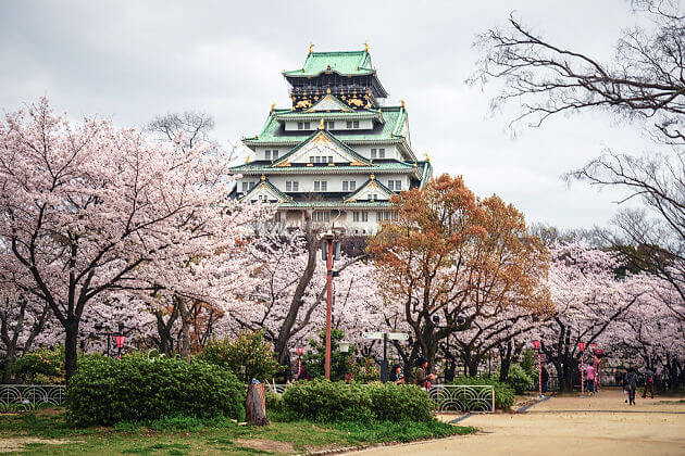 Osaka Castle sightseeing tour