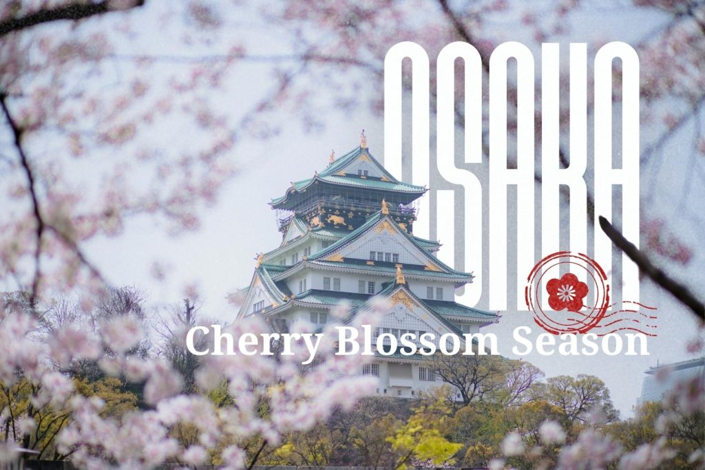 Osaka Cherry Blossom Season
