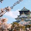 Osaka Sightseeing Half-day Tour