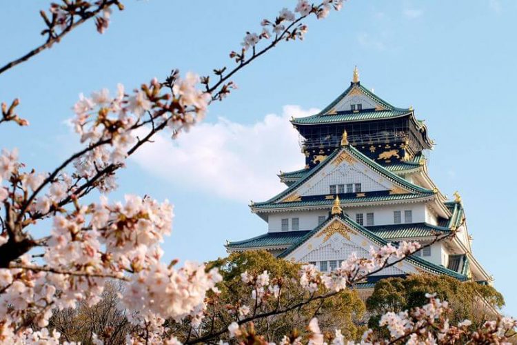 Osaka Sightseeing Half-day Tour