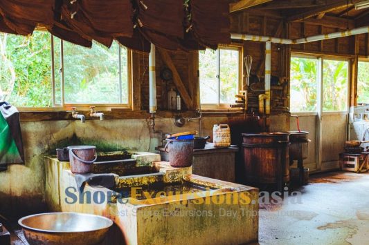 Oshima Tsumugi-mura Village