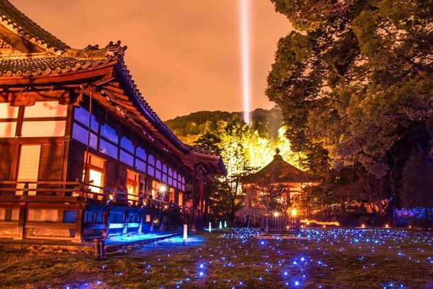 Overnight in Japanese Shrine