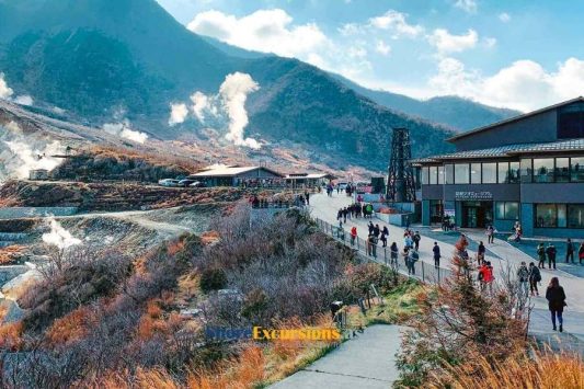 Owakudani Valley on Shimizu cruise excursions