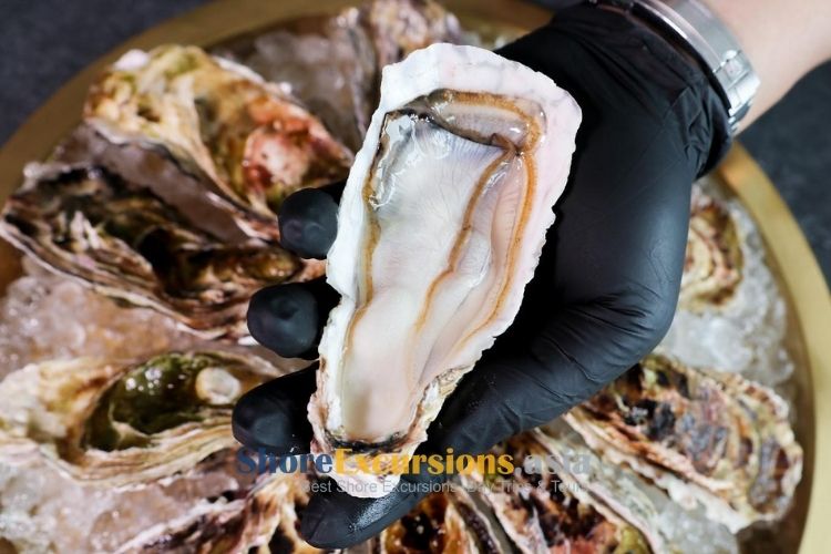 Oysters from Miyagi Prefecture - Ishinomaki cruise excursions