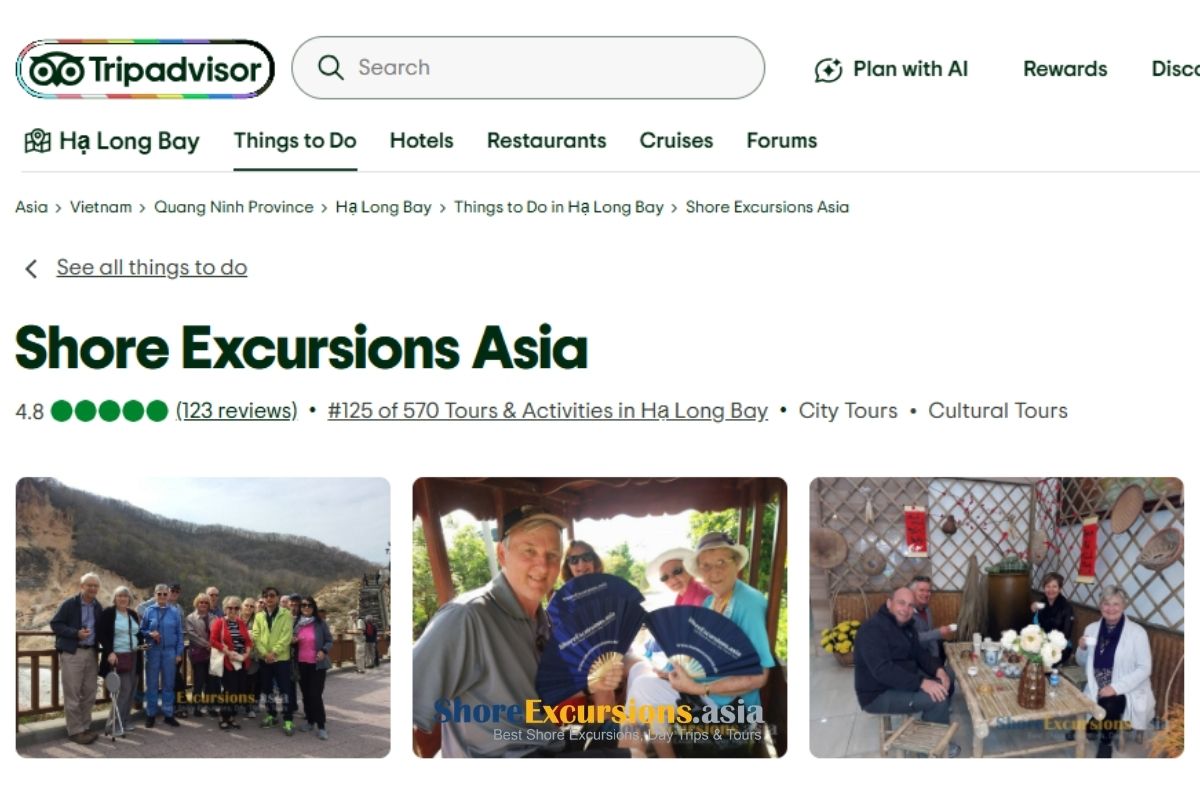 Read Independent Reviews for Reliable Shore Excursions