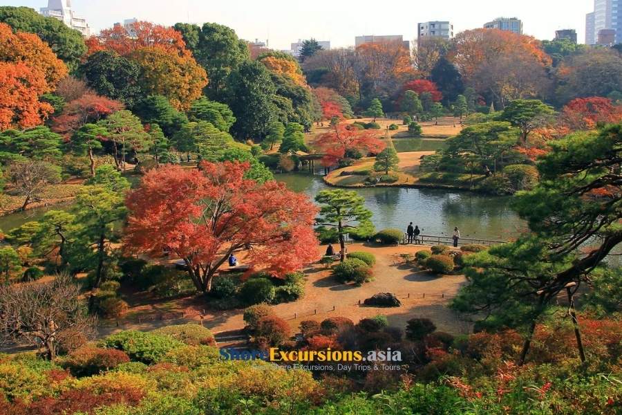 Rikugien Garden - Spot for Japan fall foliage