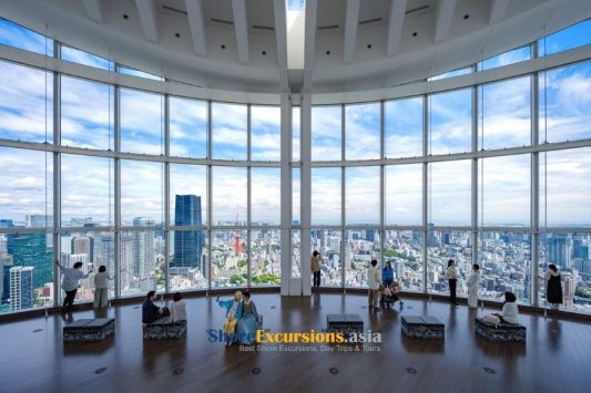 Roppongi Hills Observation Deck on Tokyo shore excursions