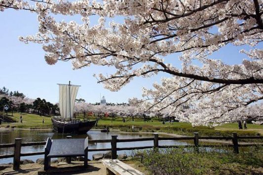 Sakata Highlights Shore Excursions