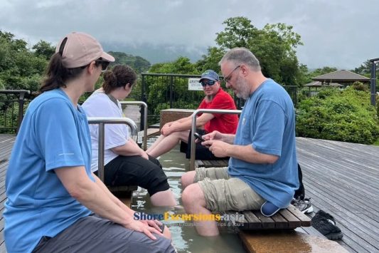 Sakurajima Lava Nagisa Park & Footbath
