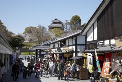 Sakuranobaba Johsaien Castle Town