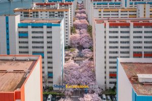 Samick Beach Town on Busan Scenic Tour