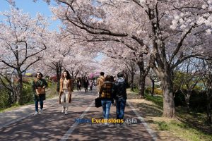Samnak Riverside Park - Busan Scenic Tour