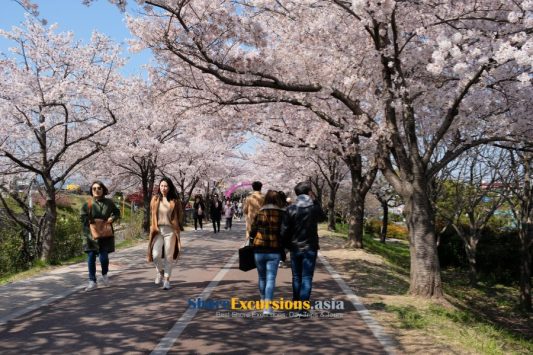 Samnak Riverside Park - Busan Scenic Tour