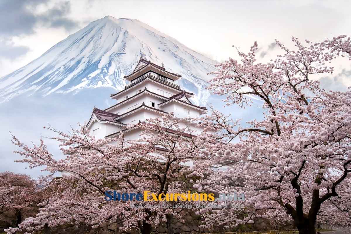 Scenic Tsuruga shore excursions