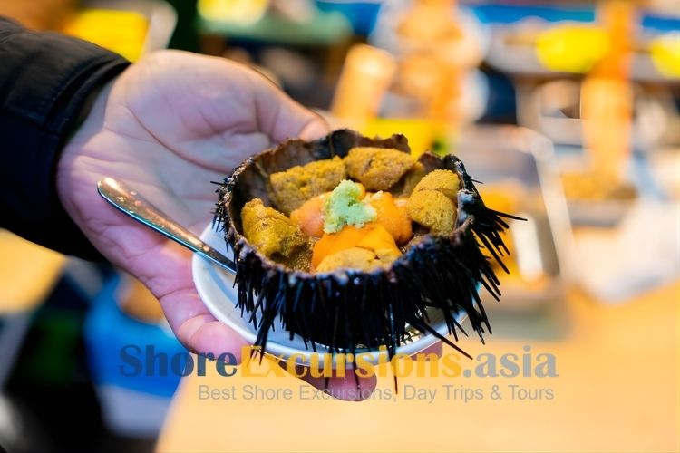 Seasonal Sea Urchin - Iwate shore excursions